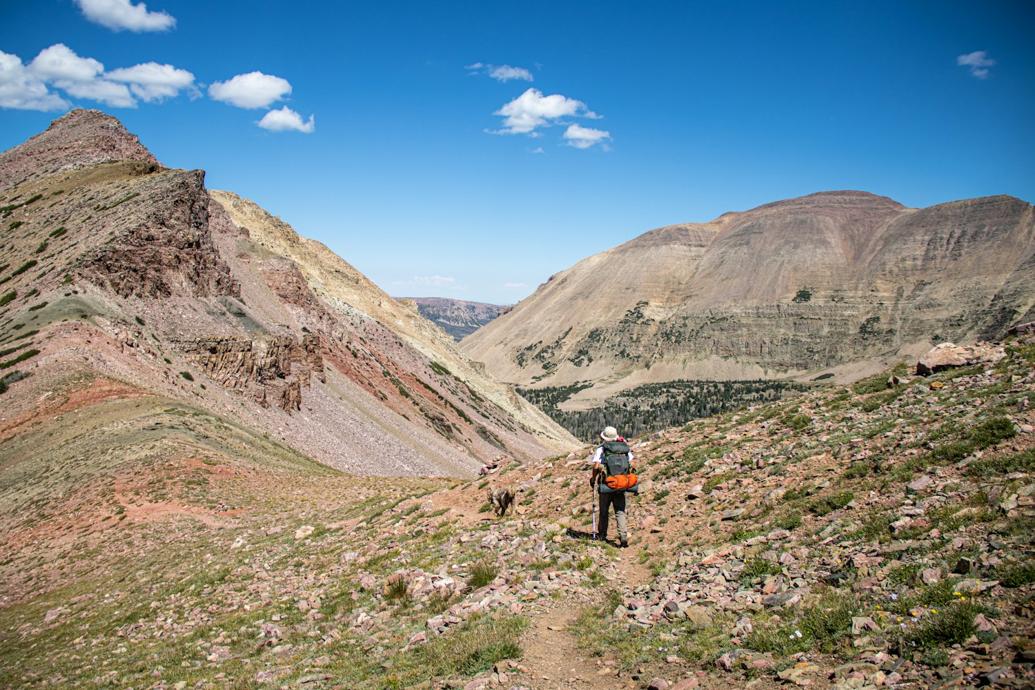 A hiker and dog on a trail through pristine mountains