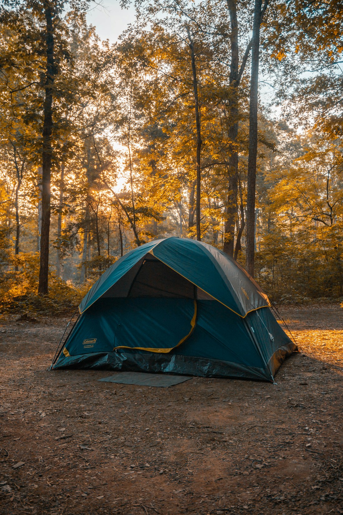 A tent pitched in an autumn forest at golden hour