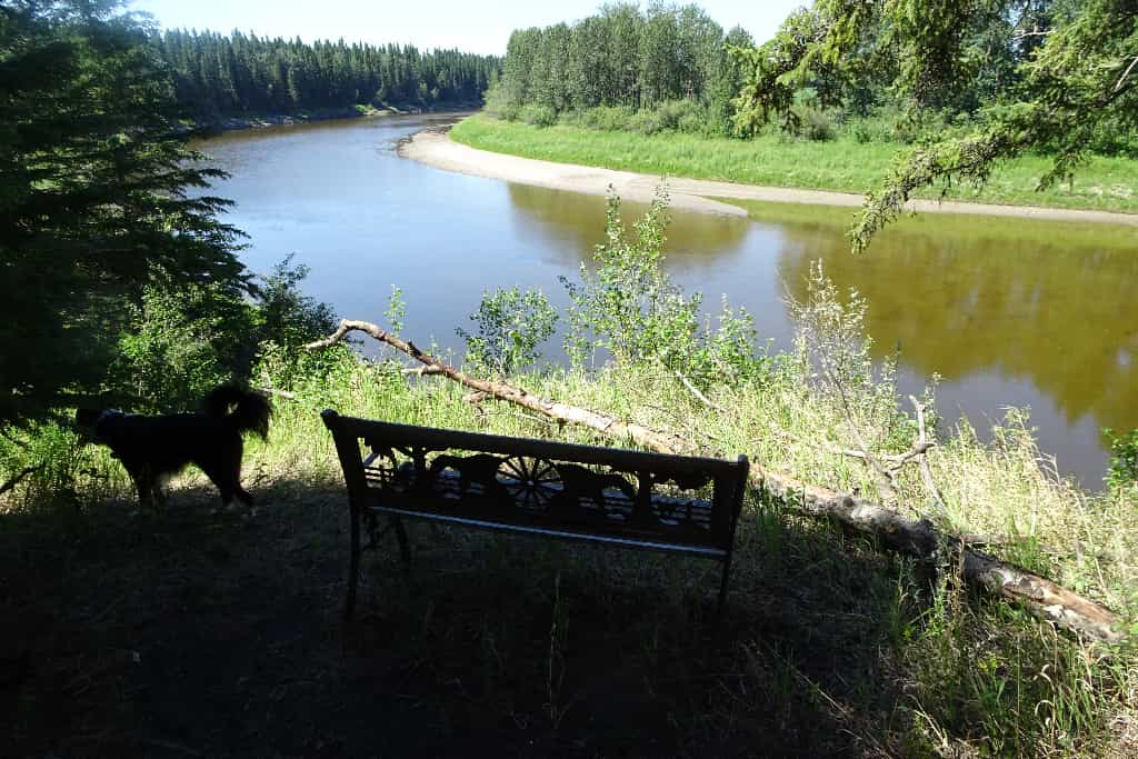 Chattaway Grove on the Pembina River - Main photo
