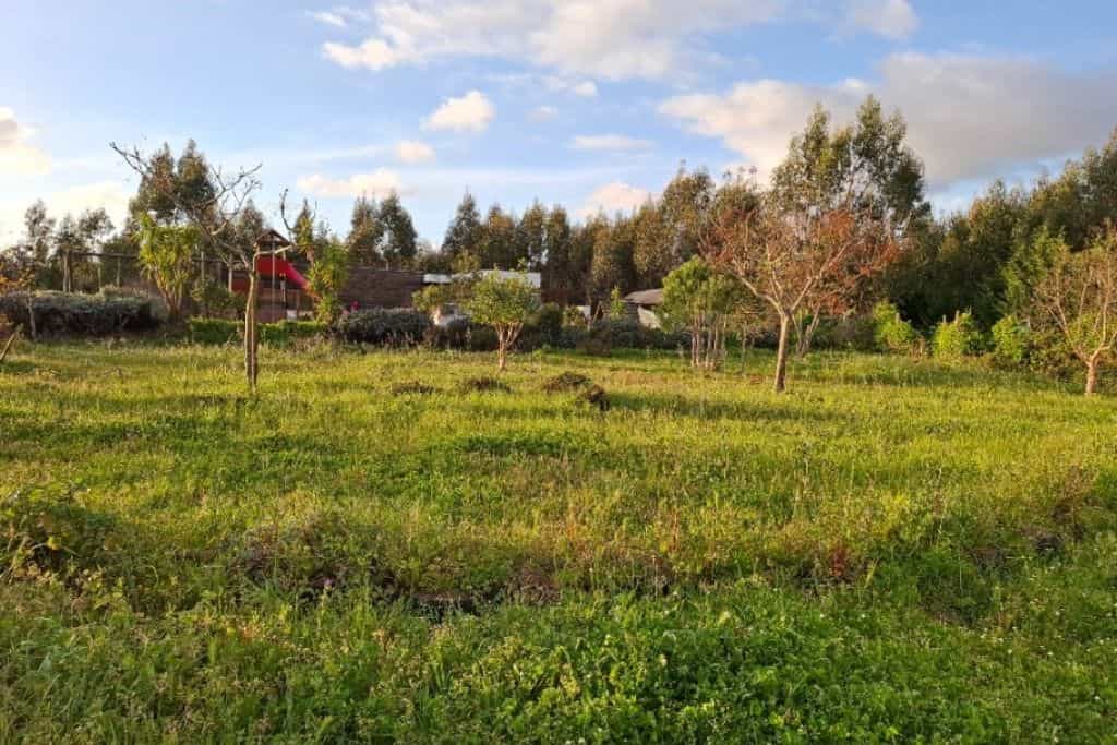 Caria's Organic Farm - Main photo