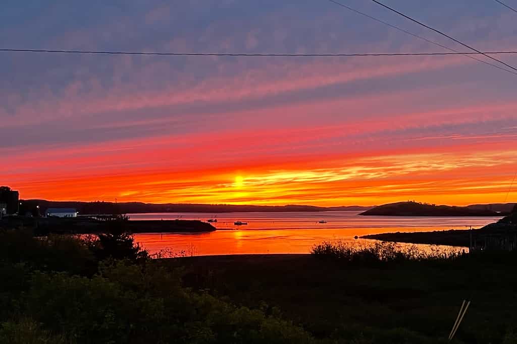 Hidden Harbour Farm - Main photo