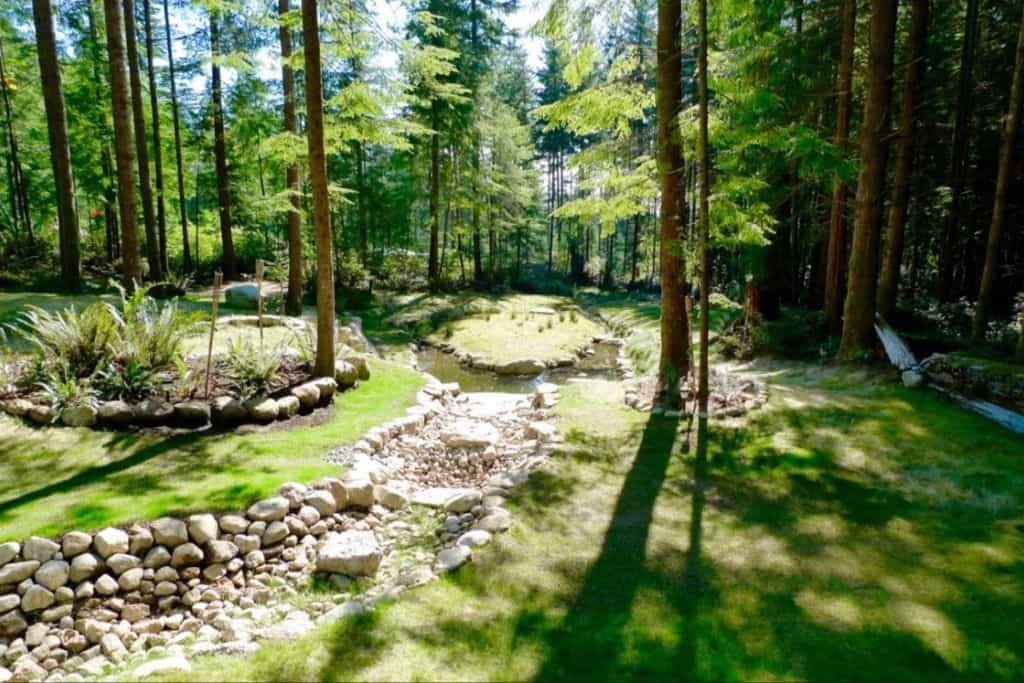 Forest Sanctuary - Main photo