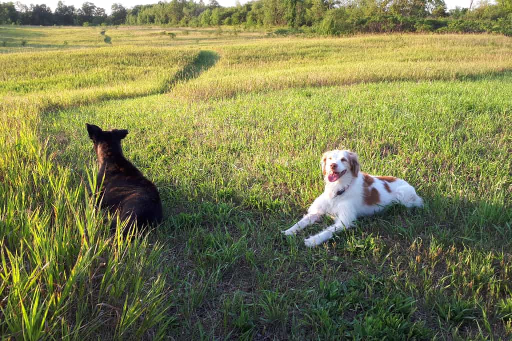 Eagle Eye Cabin Camp Ground - Main photo