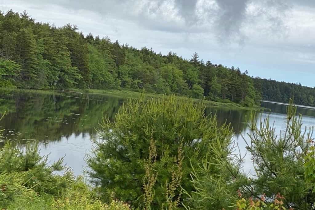 LiL Peace Of Heaven Oasis Campground - Main photo