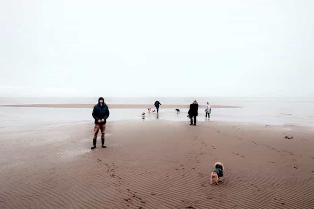 Coastal Campground - Main photo