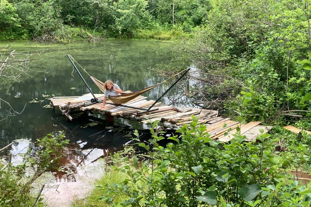 Dream Seed Farm - Main photo