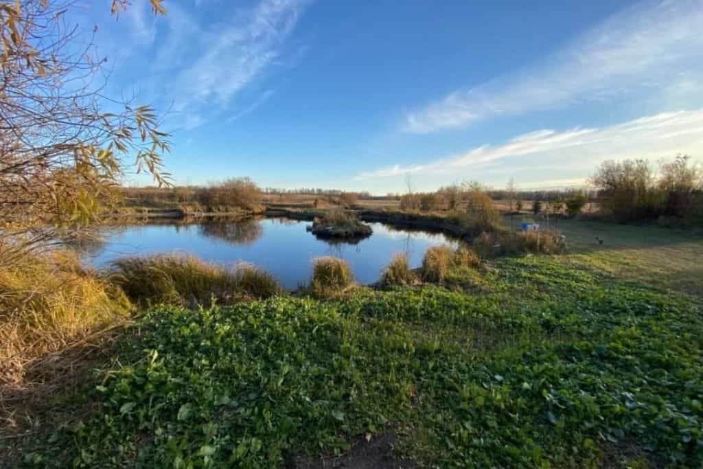 Elk Island Getaway - Main photo