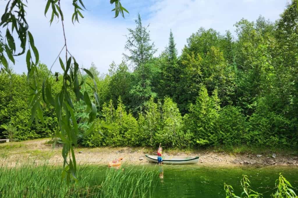 Cedarhaven Grounds - Main photo