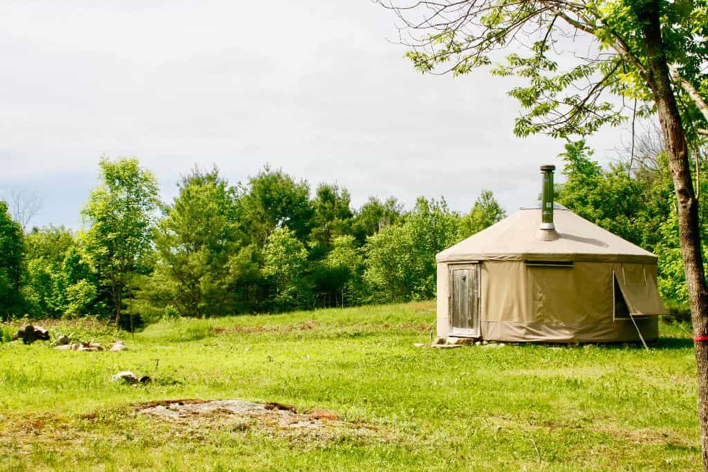 Yurta Glamping / Tent Camping 50 acres nature - Main photo