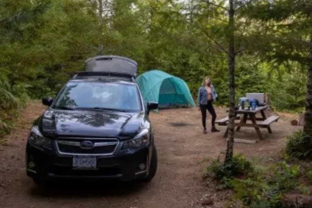 Maple Heart Ranch - Main photo