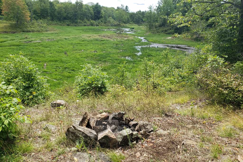 5 Acre Hardwood Forest in Tay Valley - Main photo