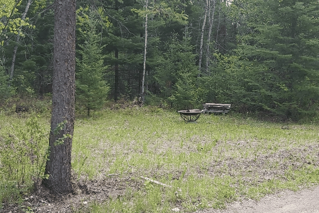 Boreal Fix - Main photo