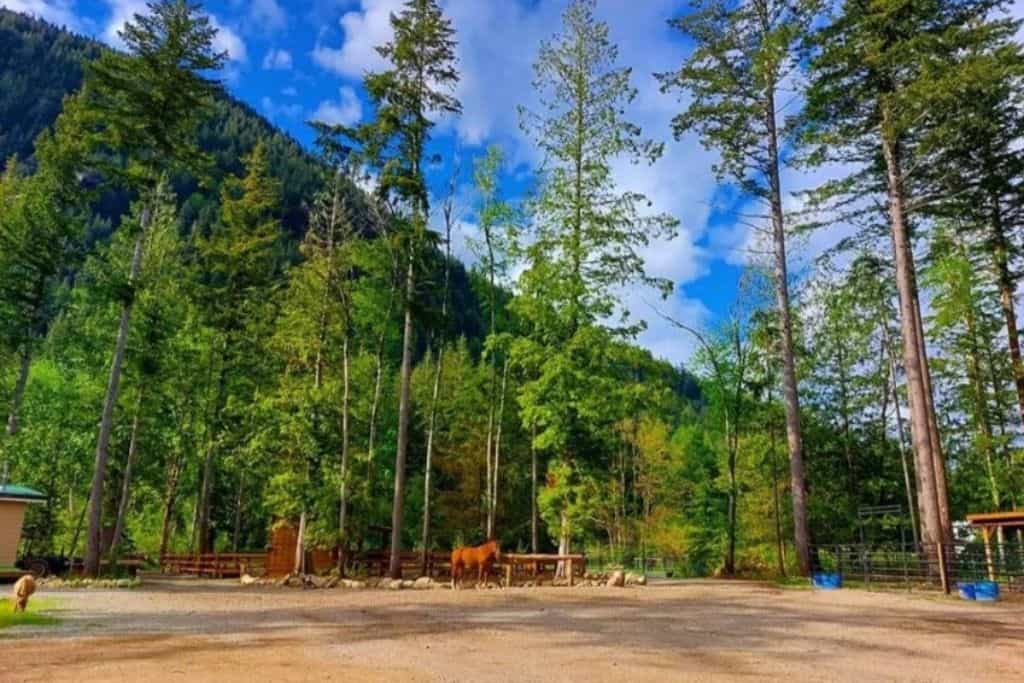 Double R Ranch - Main photo