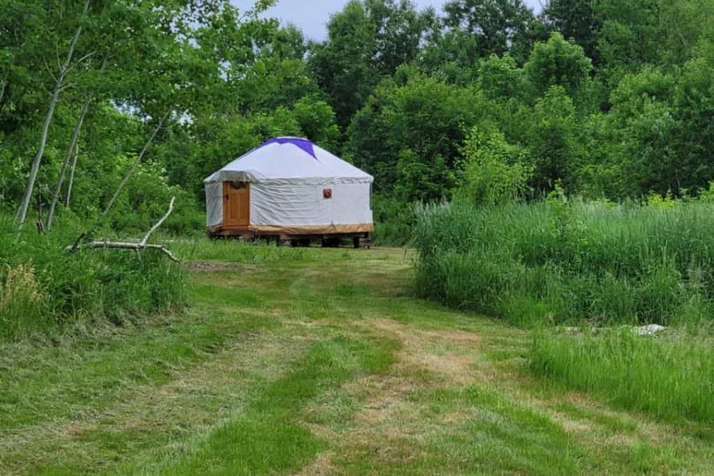 Dream Seed Farm - Main photo