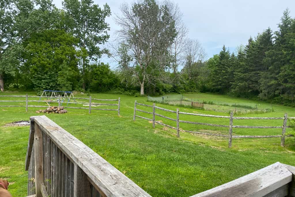 Tardif oasis - Main photo