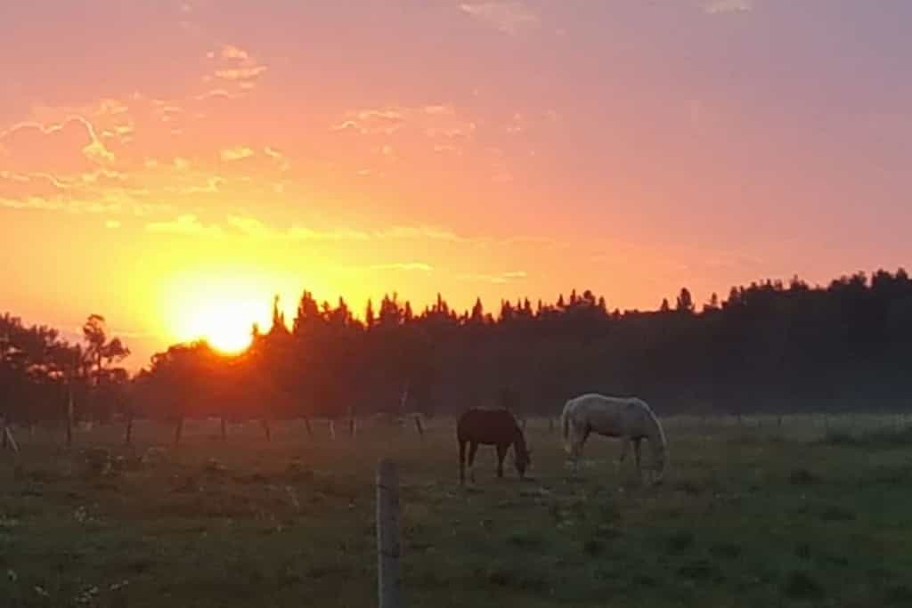 Timber Row Ranch - Main photo