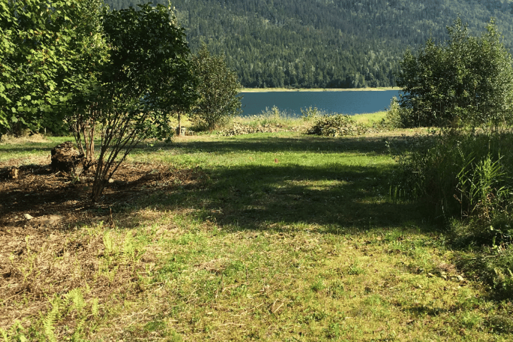 Rock island Paradise on the Arrow lake  - Main photo