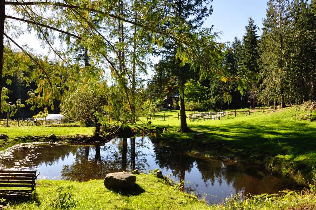 WHF Farm Stay Accommodation - Main photo