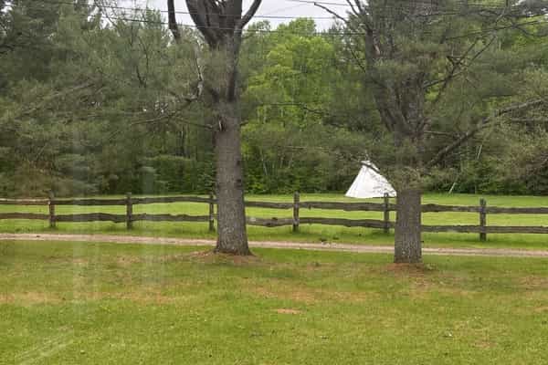 Pine & Birch Ranch & Retreat - Photo 2