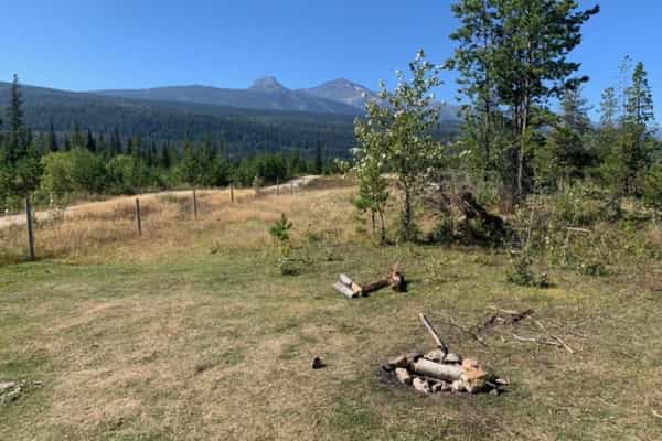 Fuzzy Buddy Ranch - Photo 2