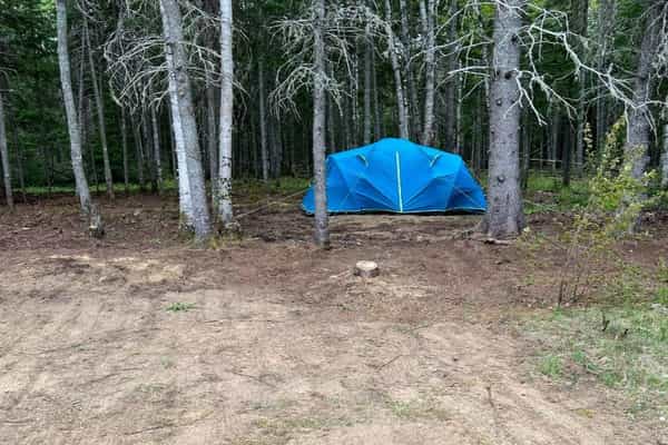 Ocean River RV Resort and Campground - Photo 2
