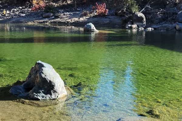 Big Cat Ranch - Photo 3