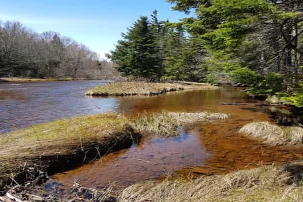 Camping by the River - Photo 3