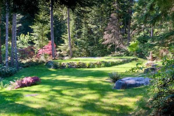 Forest Sanctuary - Photo 3