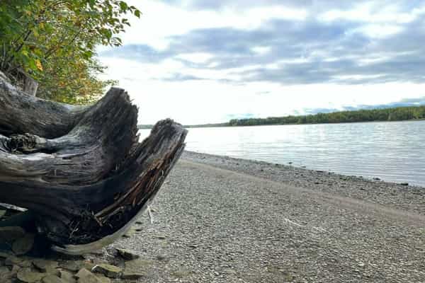 Ocean River RV Resort and Campground - Photo 3