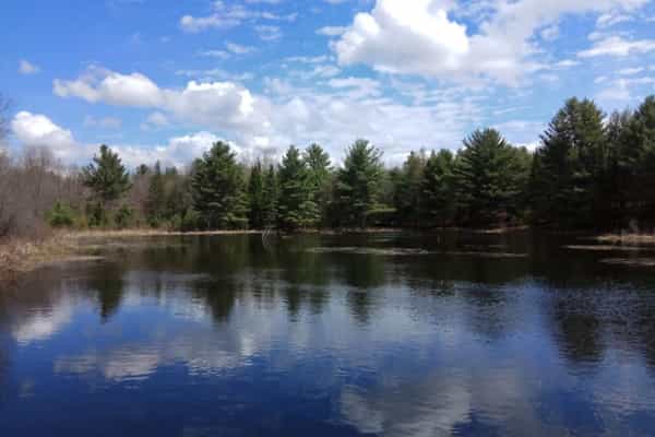 Yurta Glamping / Tent Camping 50 acres nature - Photo 2