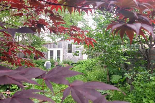 Urban garden in Halifax - Photo 2