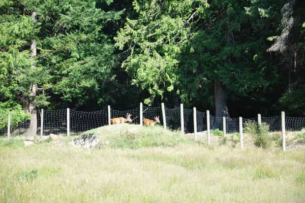 WHF Farm Stay Accommodation - Photo 2