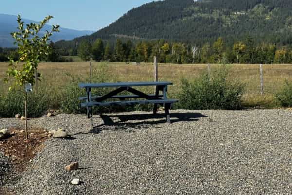 Bluestone Acres Farm - Photo 2