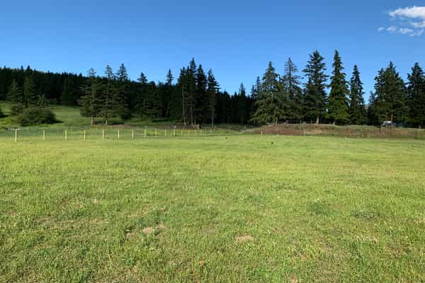 Wild Valley Farmz Camping & Events - Photo 2
