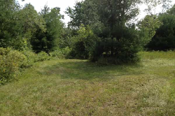 Shannik Beaver Creek Camp - Photo 2