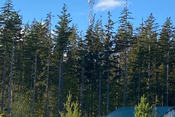 Private 80 Acre Paradise  - Photo 3