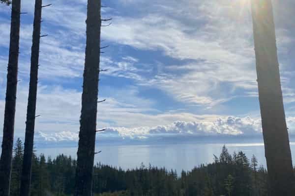 Private 80 Acre Paradise  - Photo 3
