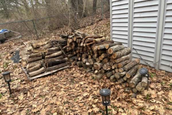 The Harbourview Oasis - Photo 3