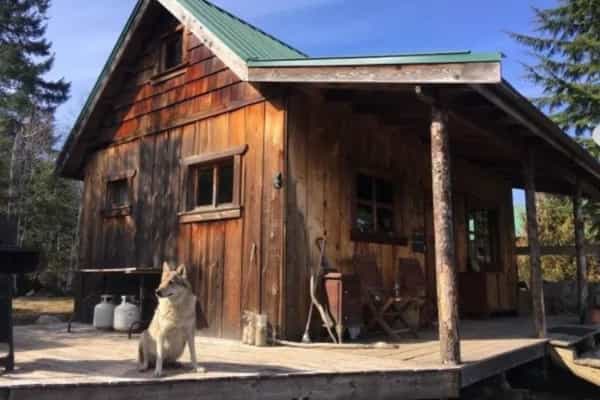 Maple Heart Ranch - Photo 2