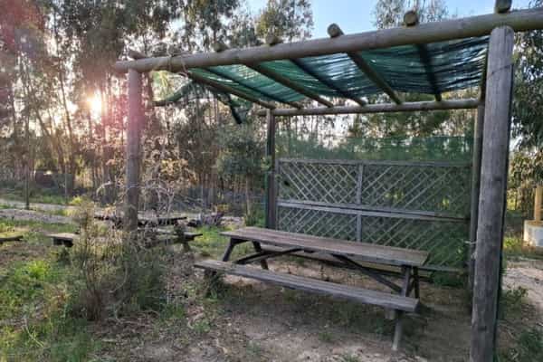 Caria's Organic Farm - Photo 3
