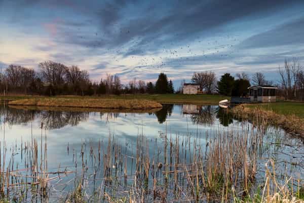 Farm House by the Pond - Photo 3