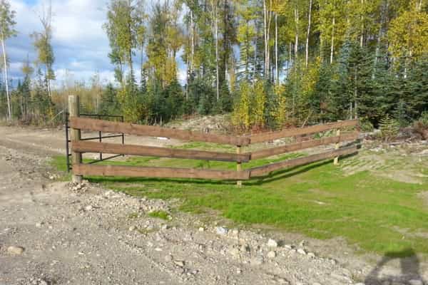 Mackenzie BC Gold panning and wildlife - Photo 2