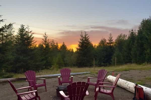 Tyee Valley Farm - Photo 2