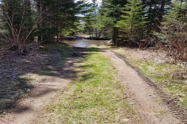 Camping by the River - Photo 2