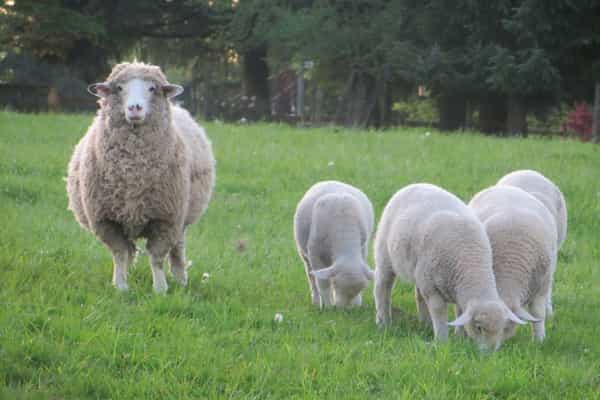 HighCroft Farm - Photo 2