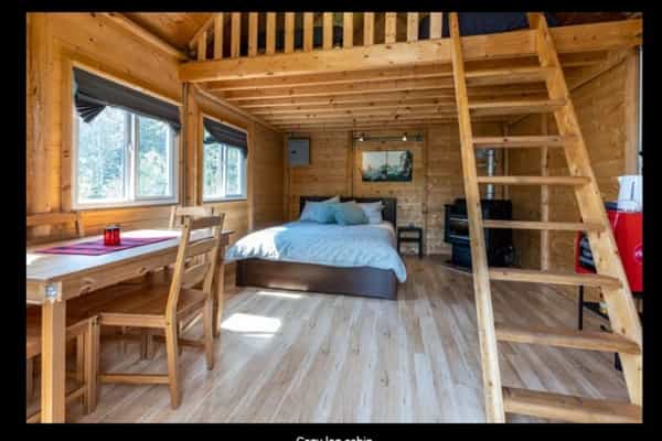 Heart of the Boreal Forest - Photo 3