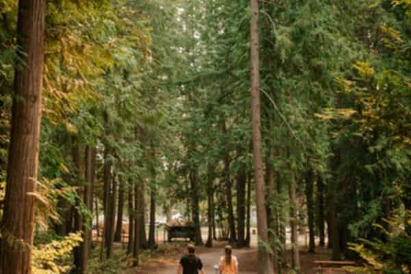 Whispering Pines  - Photo 3
