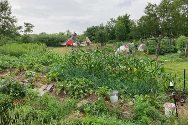 Dream Seed Farm - Photo 2