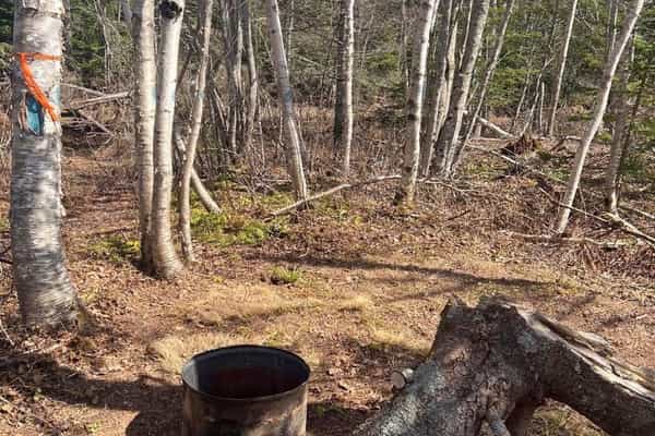 Coastal Campground - Photo 3