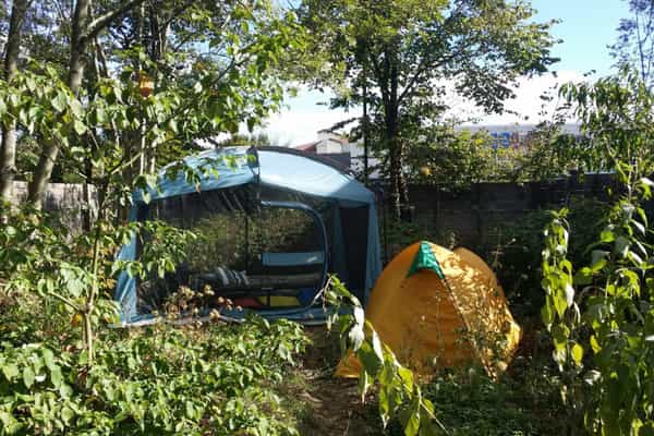 Urban garden in Halifax - Photo 3